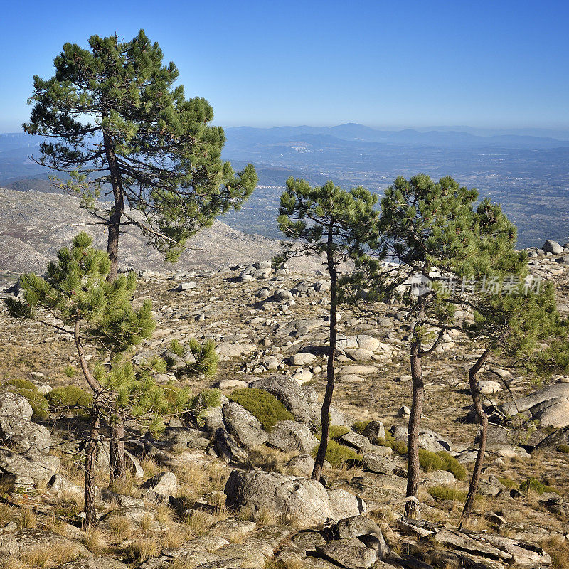 从葡萄牙山脉的自然公园Serra da Gardunha, Castelo Branco